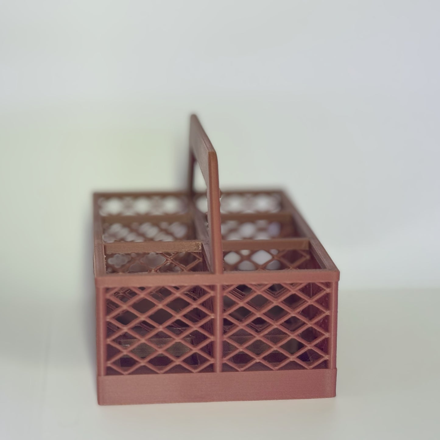 6 Pack Carton Carrier