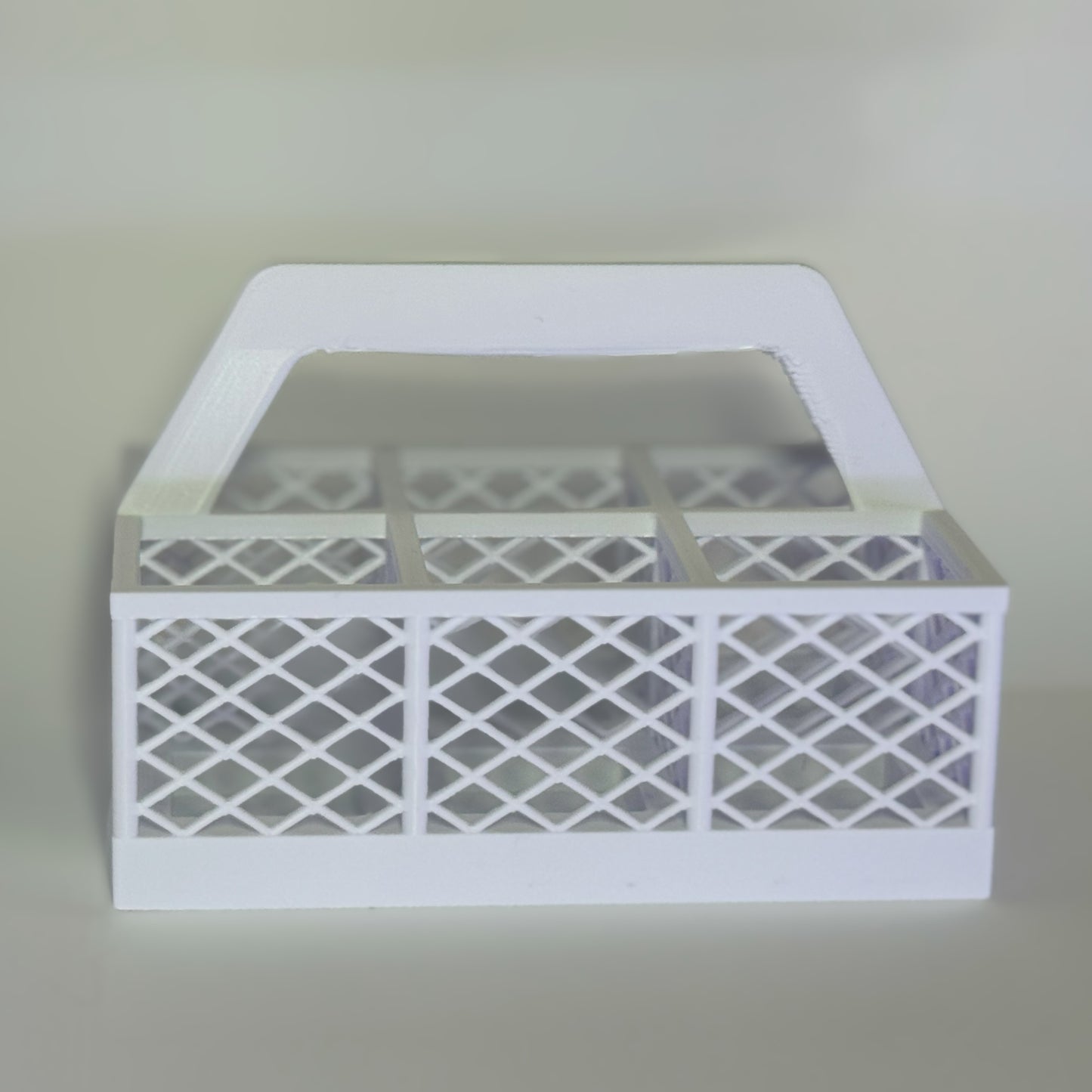 6 Pack Carton Carrier