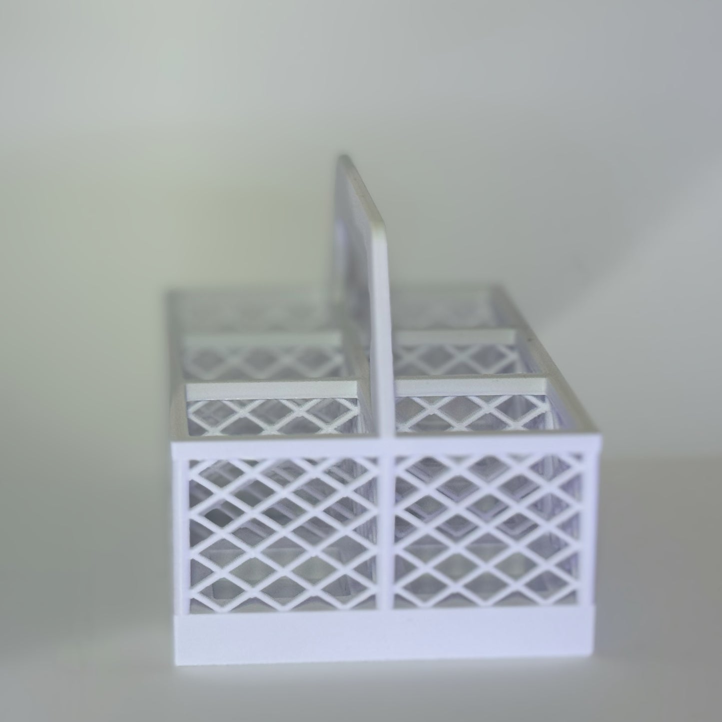 6 Pack Carton Carrier