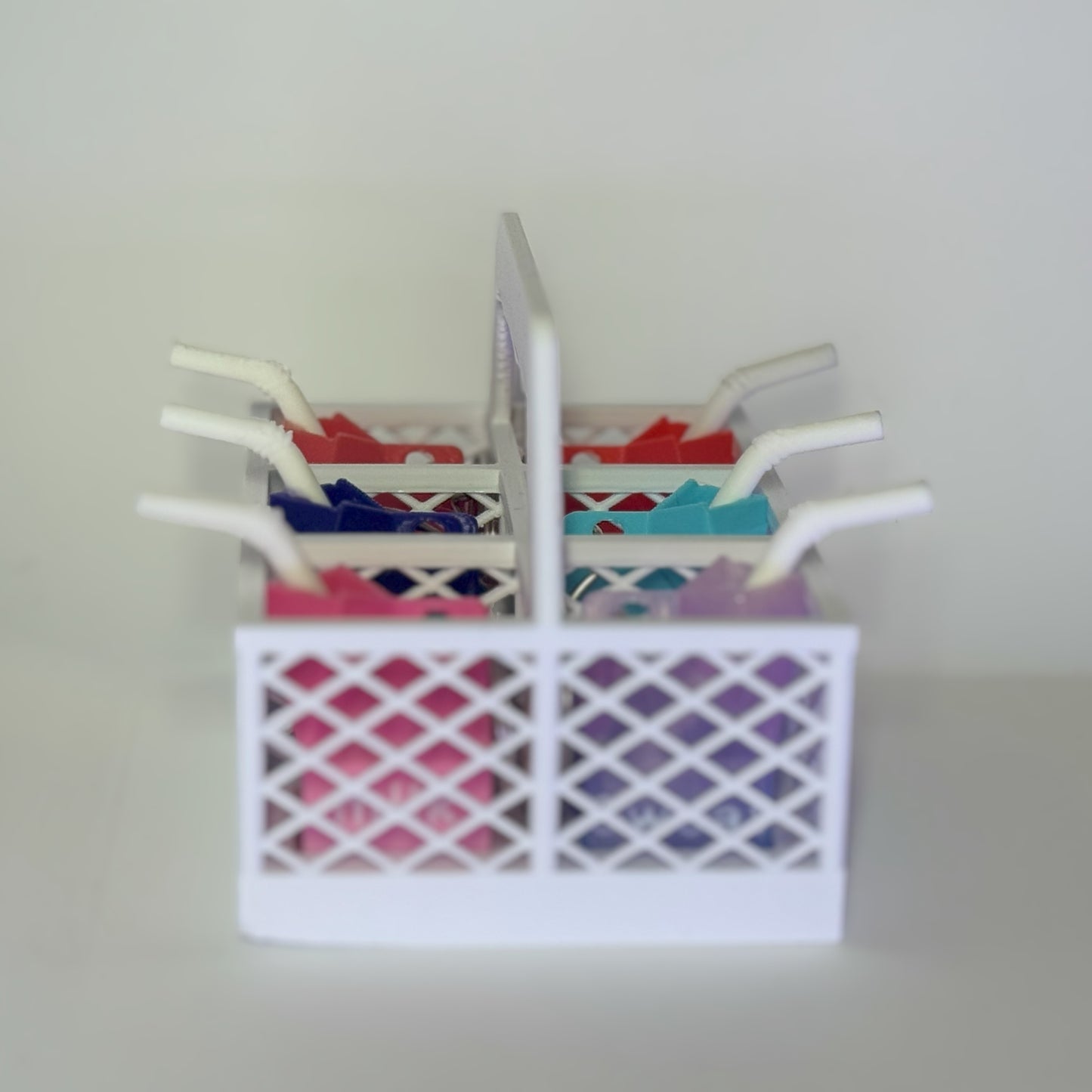6 Pack Carton Carrier