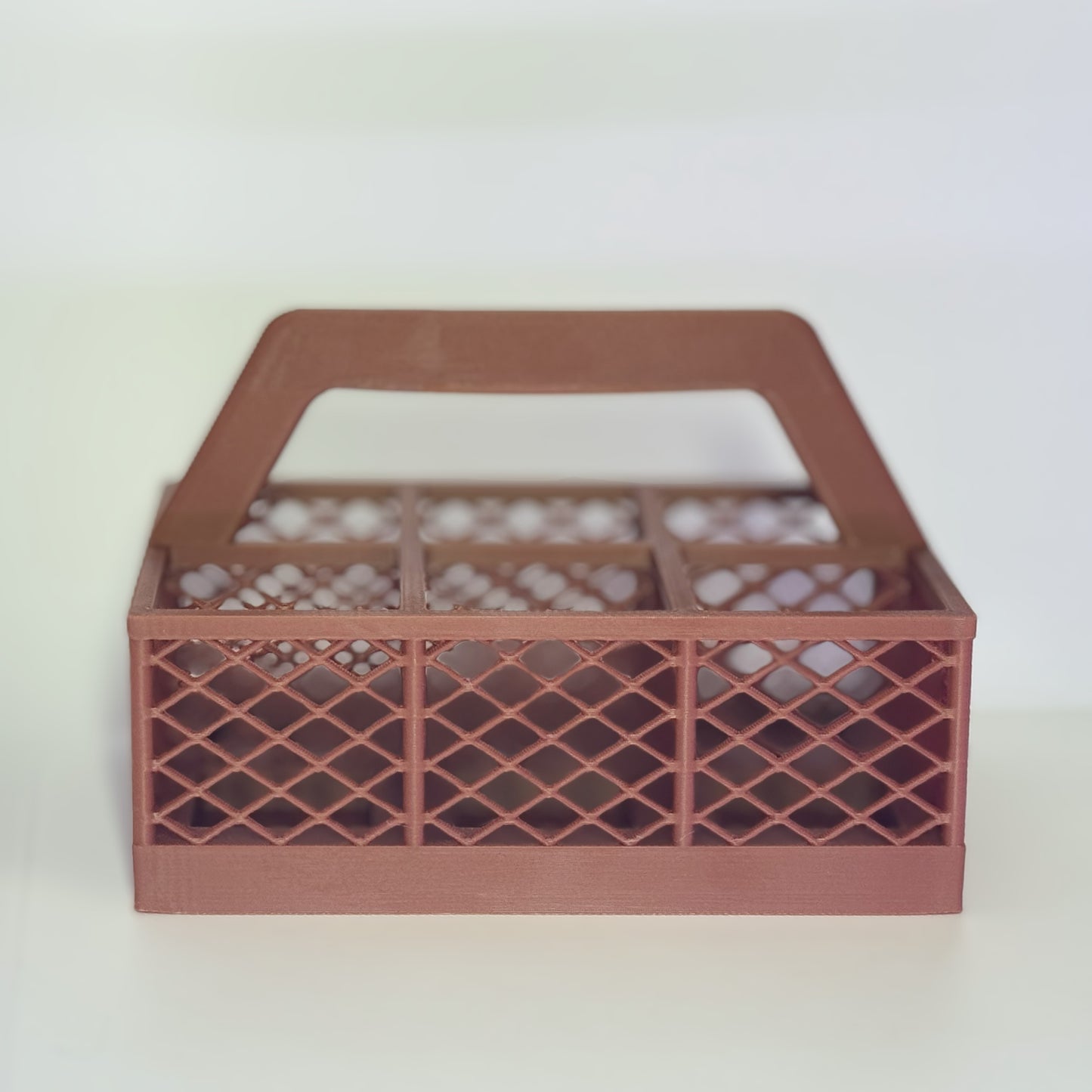 6 Pack Carton Carrier
